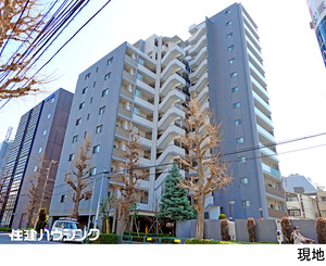 小石川アインス
