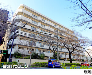 パシフィックニュー中野