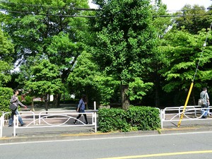 周辺環境:駒沢一丁目西公園 マンション(一棟) 目黒区東が丘２丁目 80000万円 駒沢大学駅｜住建ハウジング