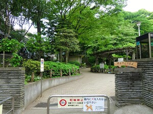 周辺環境:須藤公園 店舗付住宅 台東区谷中３丁目 14600万円 千駄木駅｜住建ハウジング