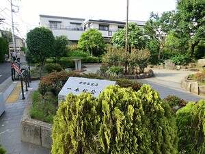 周辺環境:一本松公園 アパート(一棟) 世田谷区北沢３丁目 23000万円 東北沢駅｜住建ハウジング