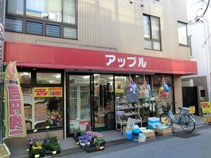 周辺環境:アップル ハイツ上鷺宮(低層棟)