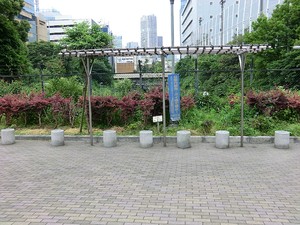 周辺環境:築地川千代橋公園 ピアース銀座レジデンス