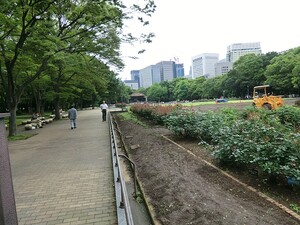 周辺環境:日比谷公園 ピアース銀座
